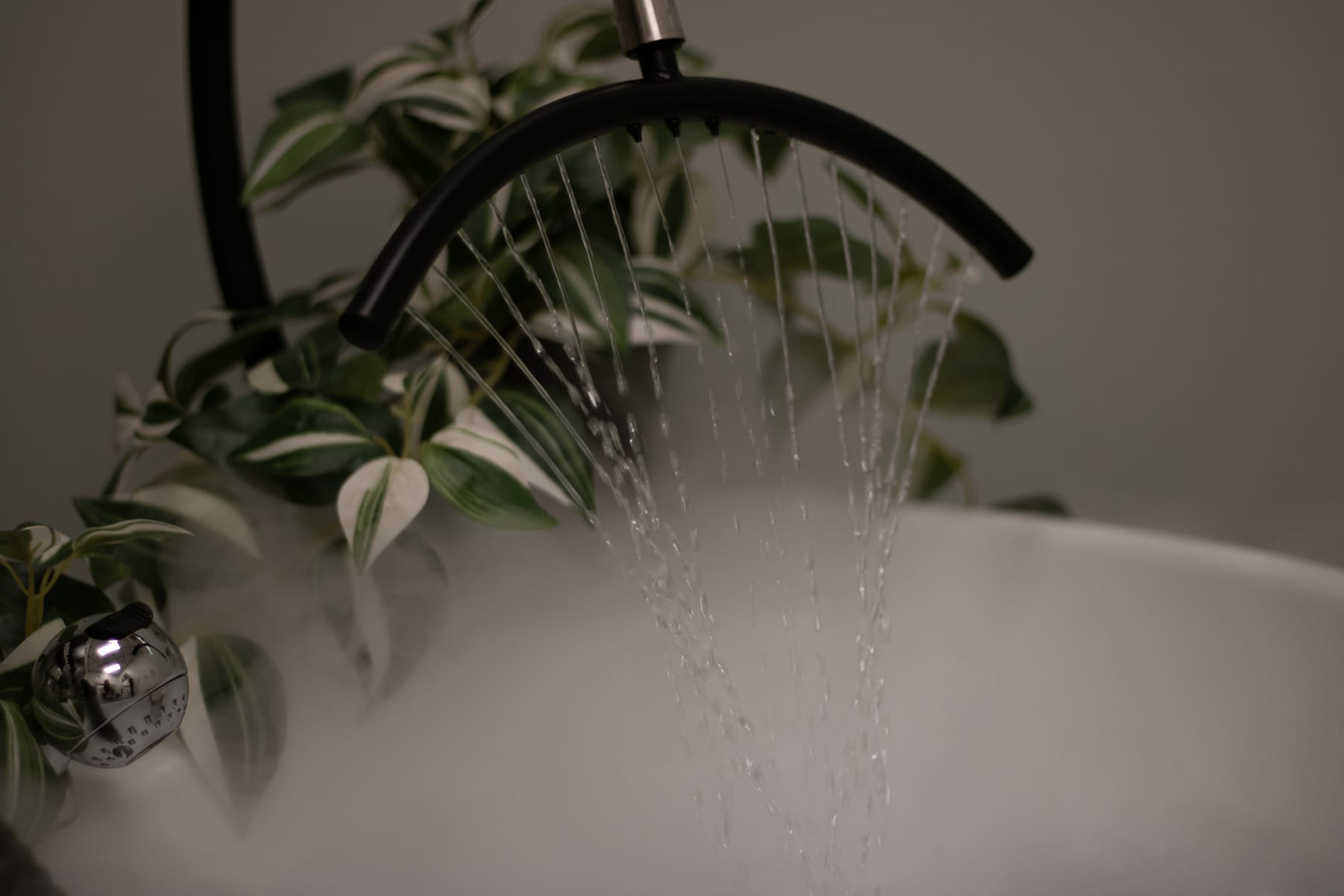 Scandinavian-inspired head spa basin with cascading water streams and trailing greenery at The Beauty of Zen, Worcester, MA